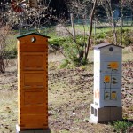 Painted hives ready for this seasons bees
