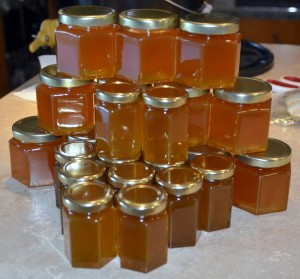 jars filled with honey from seabeck farms